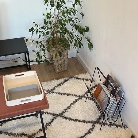 Appartement Aux Trompettes Violettes *