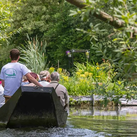 Aux Trompettes Violettes Appartement Amiens