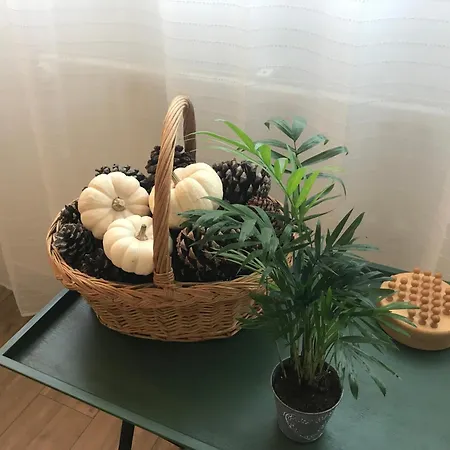 Aux Trompettes Violettes Amiens