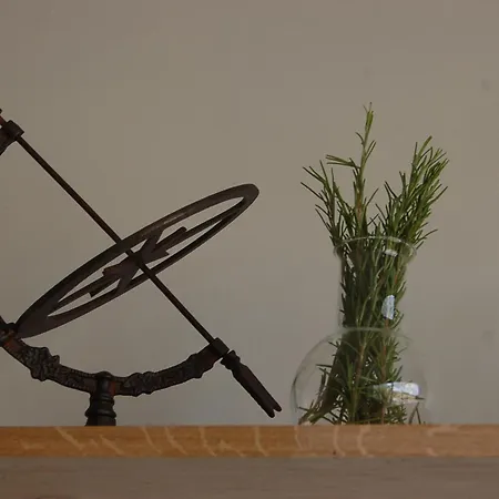 Aux Trompettes Violettes *