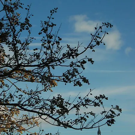 Aux Trompettes Violettes Appartement *