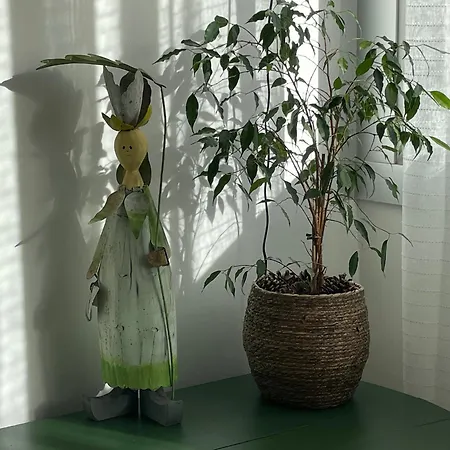 Apartmán Aux Trompettes Violettes *